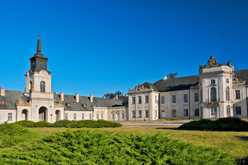 Fototapeta premium Potocki Palace in Radzyn Podlaski, town in Lublin Voivodeship, Poland.