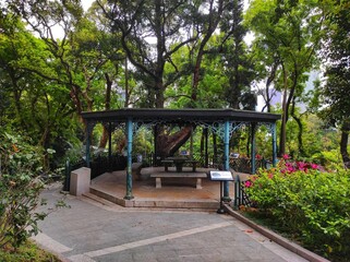 Fototapeta na wymiar The Pavilion ( Former band stand ) is one of the oldest structure in the Hong Kong Zoological and Botanical Garden