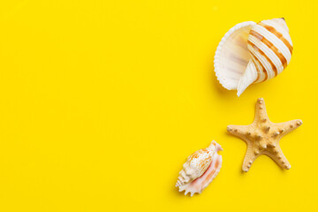 Summer time concept Flat lay composition with beautiful starfish and sea shells on colored table, top view with copy space for text