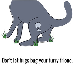 Hand draw banner, poster for veterinary clinic.Don't let bugs bug your furry friend.Pet care illustration.