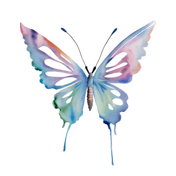 Blue watercolor butterfly isolated on the white background. Vector
