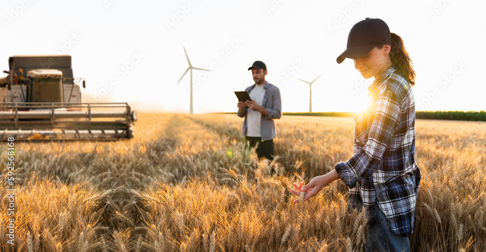 Poster couple of farmer with digital tablet on a background of harvester. wind turbines on a horizon. smart