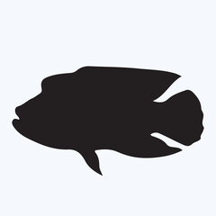 Wrasse silhouettes and icons. Black flat color simple elegant Wrasse animal vector and illustration.