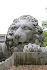  Cabeza León