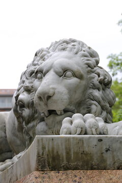  Cabeza Le&oacute;n