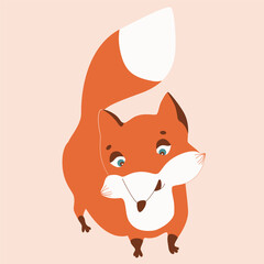 Cute fox. Woodland forest animal. Poster for baby room. Childish print for nursery. Design can be used for fashion t-shirt, greeting card, baby shower...Vector illustration.