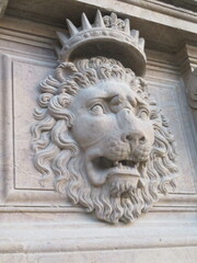 lion statue in Piti Palace, Florence