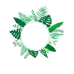 Vector floral frame Forest fern tropical leaf folliage