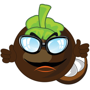Mangosten fruit cartoon on white background is insulated