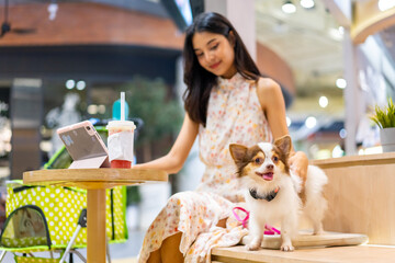 Asian woman working on digital tablet with chihuahua dog at pets friendly cafe shopping mall....
