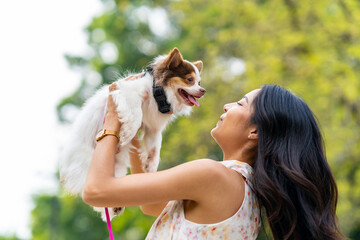 Asian woman playing with chihuahua dog at pets friendly dog park. Domestic dog with owner enjoy urban outdoor lifestyle in the city on summer vacation. Pet Humanization and urban pet parents concept.