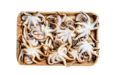 Raw baby octopus on black background. Organic seafood.  Isolated, transparent background