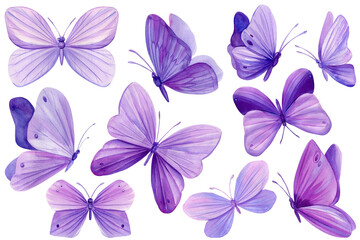 Set of purple butterflies on isolated white background, watercolor illustration, beautiful butterfly - 592582969