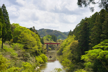 Fototapeta na wymiar 夷隅川に架かる,いすみ鉄道