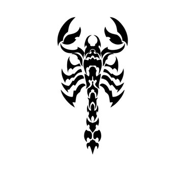 illustration vector graphic of tribal art scorpion for tattoo design