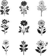 Botanical Flowers Set 