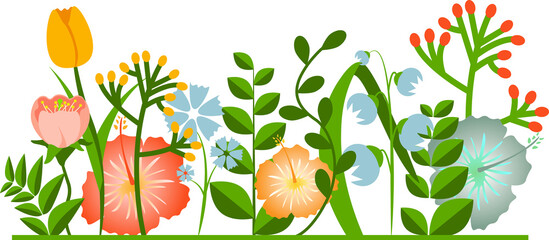 Flower border made of various garden plants