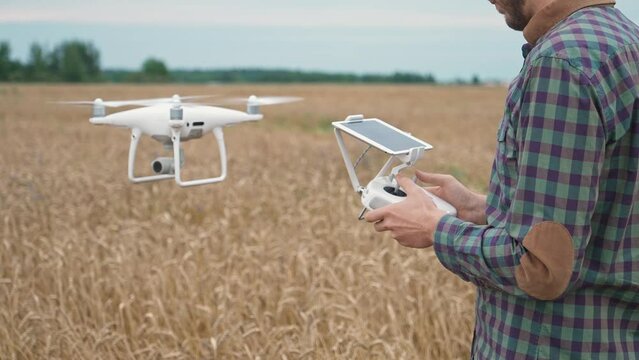 Agriculture, man farmer control the quadcopter while standing in the field of rye, ecologist analyzes the growth and ripening of rye.