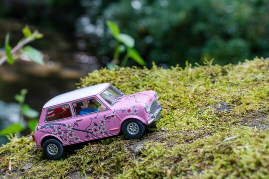 Scalextric Morris Mini Cooper 'Twiggy Flower Power' pink model car in a nature scene, on a mossy sto