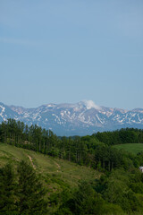 Fototapeta premium 新緑の丘と残雪の山並み 十勝岳連峰 