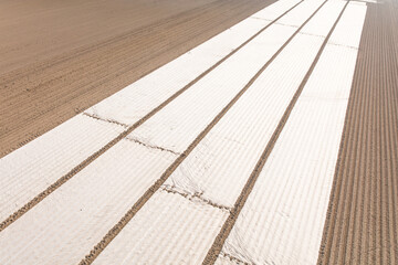 aerial view of the  crop fields