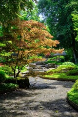 Beautiful view of a river with green trees and plants around at Augsburg Botanical Garden