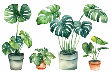 Watercolor collection of plants. Generative AI