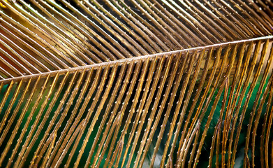 Eine Nahaufnahme eines vergoldeten Palmenblatt.