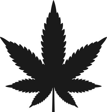 Marijuana cannabis leaf icon