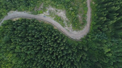 Aerial shot of a curved road between forests