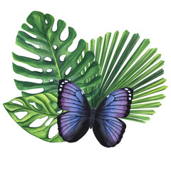 Green palm leaves with purple butterfly. Monstera Likuala Jungle tropical exotic foliage. Hand-drawn watercolor illustration isolated on white background. For design logo card poster label invitations
