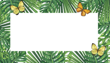Banner frame green palm leaves butterfly. Monstera Likuala Jungle tropical exotic. Hand-drawn watercolor illustration isolated on white background. For logo card poster label invitations