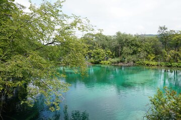 Scenic shot of a clear lake surrounded by trees at Plitvice Lakes National Park
