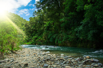 Fast river flowing through a rocky riverbed at the bottom of Waioeka Gorge, North Island, New Zealand