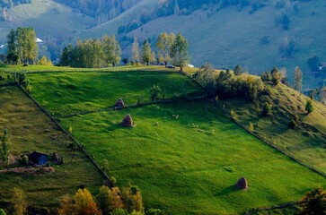 Aerial view of a fenced grazing field on the hill in a rural farm with mountains in the background