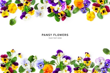 Tuinposter Spring viola pansy flowers frame border isolated on white background. © ifiStudio