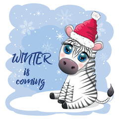 Greeting card with cute zebra in santa hat with christmas ball, candy kane, gift. Wildlife holidays cartoon character.
