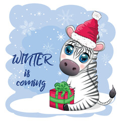 Greeting card with cute zebra in santa hat with christmas ball, candy kane, gift. Wildlife holidays cartoon character.