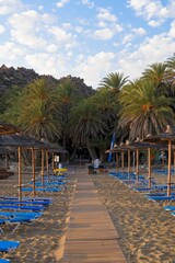 Vertical shot of a narrow footpath on the sand surrounded by sunloungers and thatched umbrellas.
