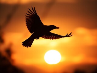 A silhouette of a bird flying against a warm sunset