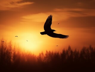 A silhouette of a bird flying against a warm sunset