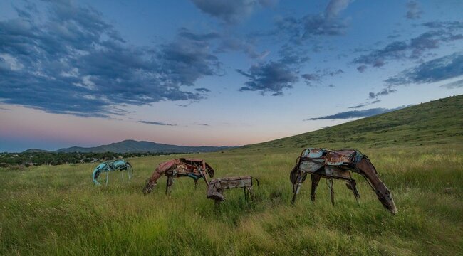 Four metal horses in the green meadow during blue hour. Glassford Hill, Prescott Valley, Arizona.