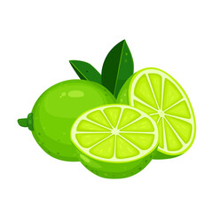 lime fruit and half lime fruit isolated on white background. Vector eps 10. Perfect for wallpaper or design elements.