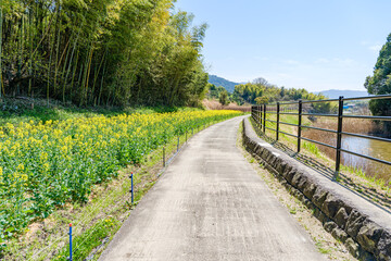 Fototapeta na wymiar 【奈良県】山辺の道