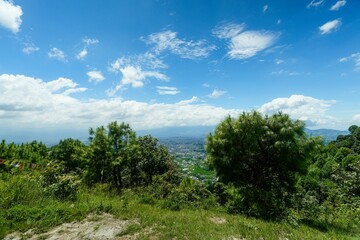 Obraz premium Beautiful view of a blue sky with clouds over the trees.