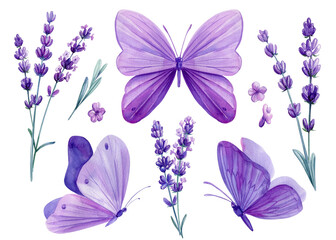 Obraz na płótnie Canvas Watercolor butterflies and lavender flowers, floral design purple elements on isolated white background. Bouquet flowers