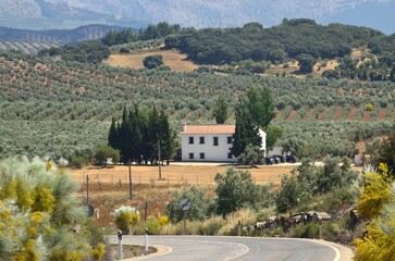 Cortijo cerca de Iznajar, Cordoba