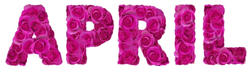 word april with rose flowers