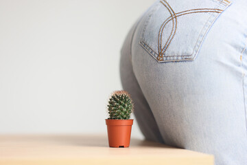 Woman in jeans sits down on decorative cactus growing in pot © megaflopp