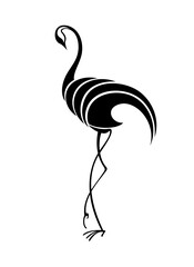 Crane bird . illustration on white background
